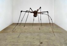 exposition animal fonds leclerc landerneau