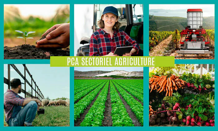 Information collective - Prépa clés avenir (PCA) Agriculture Format Pro