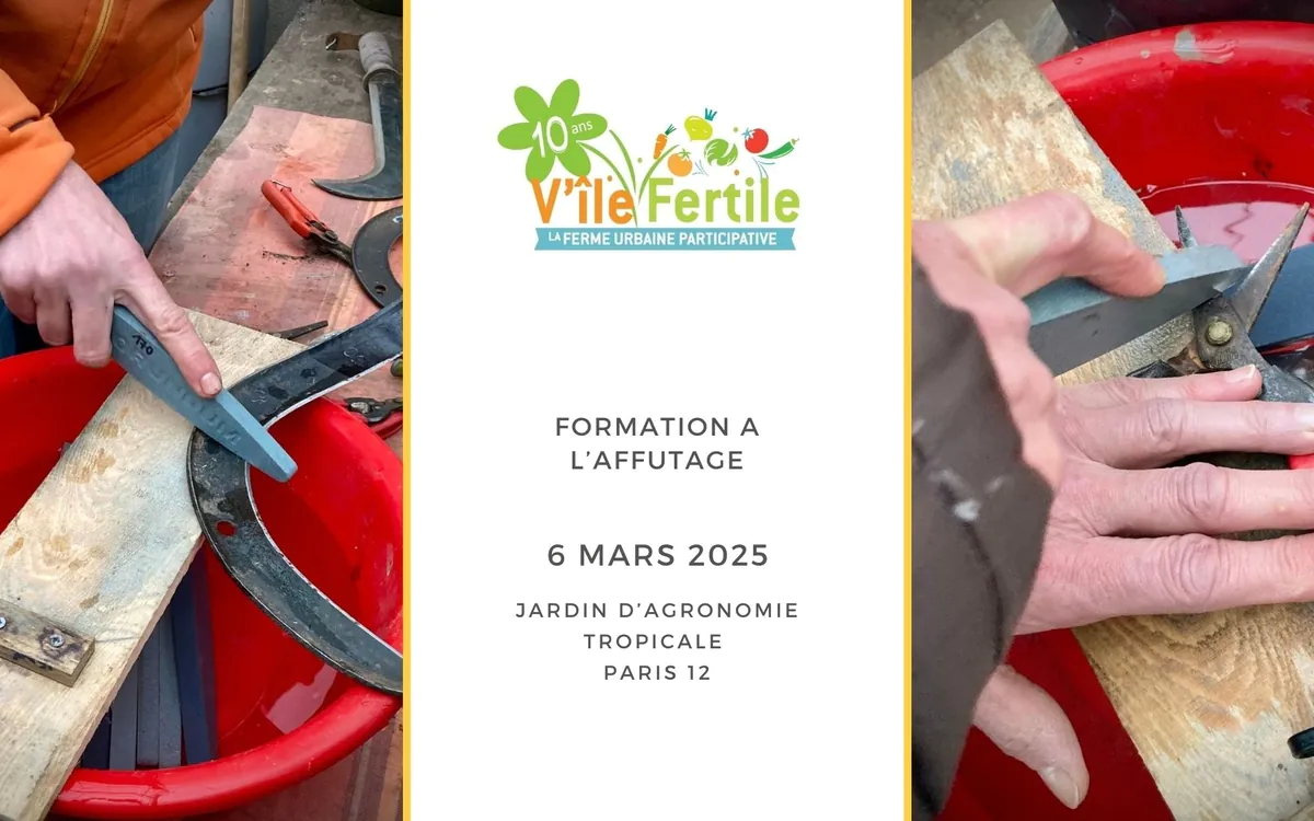 Formation à l'affûtage des outils V'île fertile - Jardin d'agronomie tropicale de Paris Paris