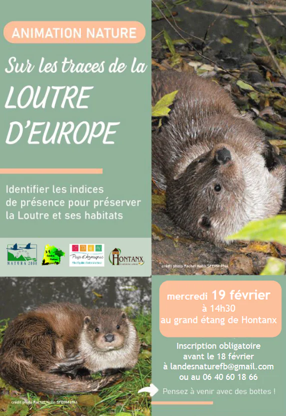 Sur les traces de la Loutre d'Europe