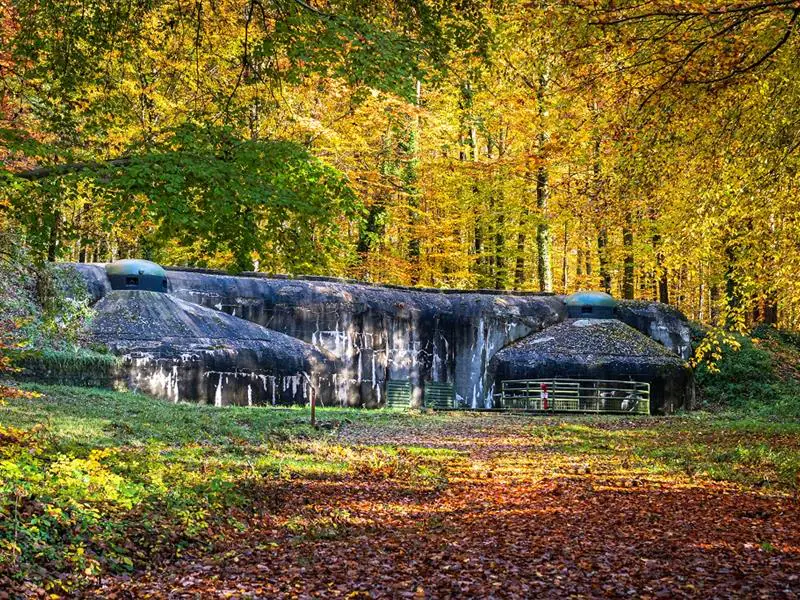 Visite insolite  Les secrets du Fort de Schoenenbourg