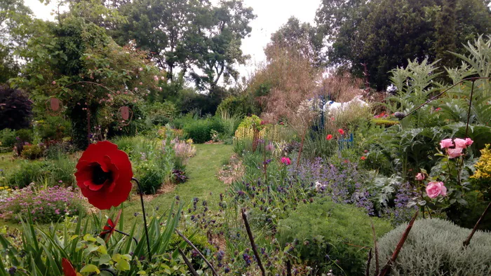 Découverte d'un jardin d'artistes Jardin d'artistes Saint-Sauveur-d'Aunis