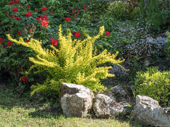 Visite du Jardin de Boissonna Jardin de Boissonna Baleyssagues