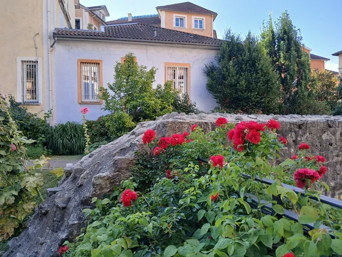 Visite guidée - La jardin du musée Jardin du musée de l'Ancien Évêché Grenoble