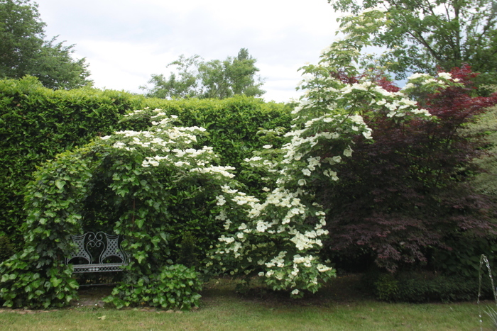 Visite du jardin