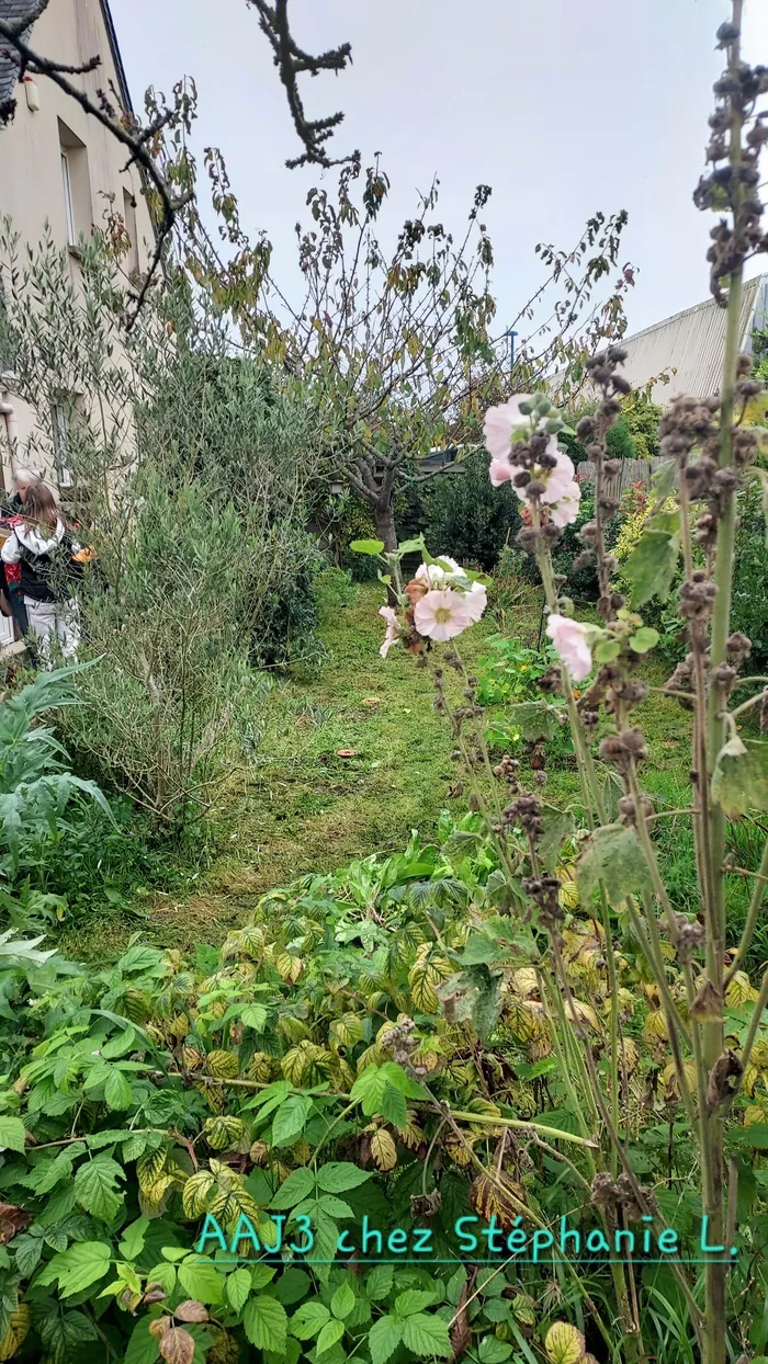 Art au jardin : visite libre du jardin Pierre de Lune Jardin Pierre de Lune Lion-sur-Mer