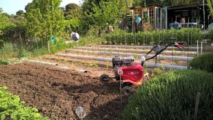 La transmission des savoirs auprès des visiteurs Jardins ouvriers et familiaux de Provence Marseille