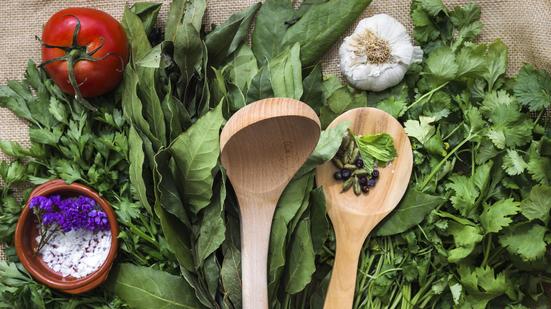 Cueillette et cuisine de plantes sauvages