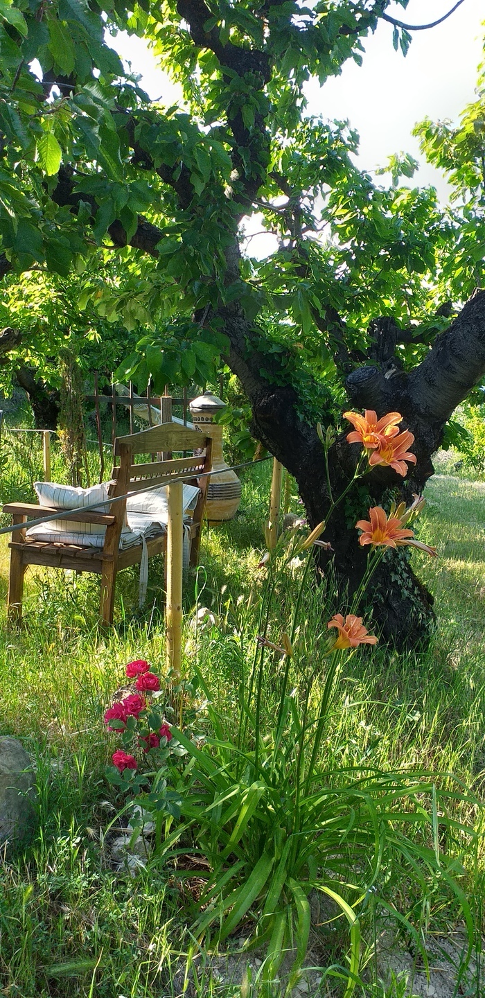 Visite découverte du jardin La Fayarde Le Beaucet