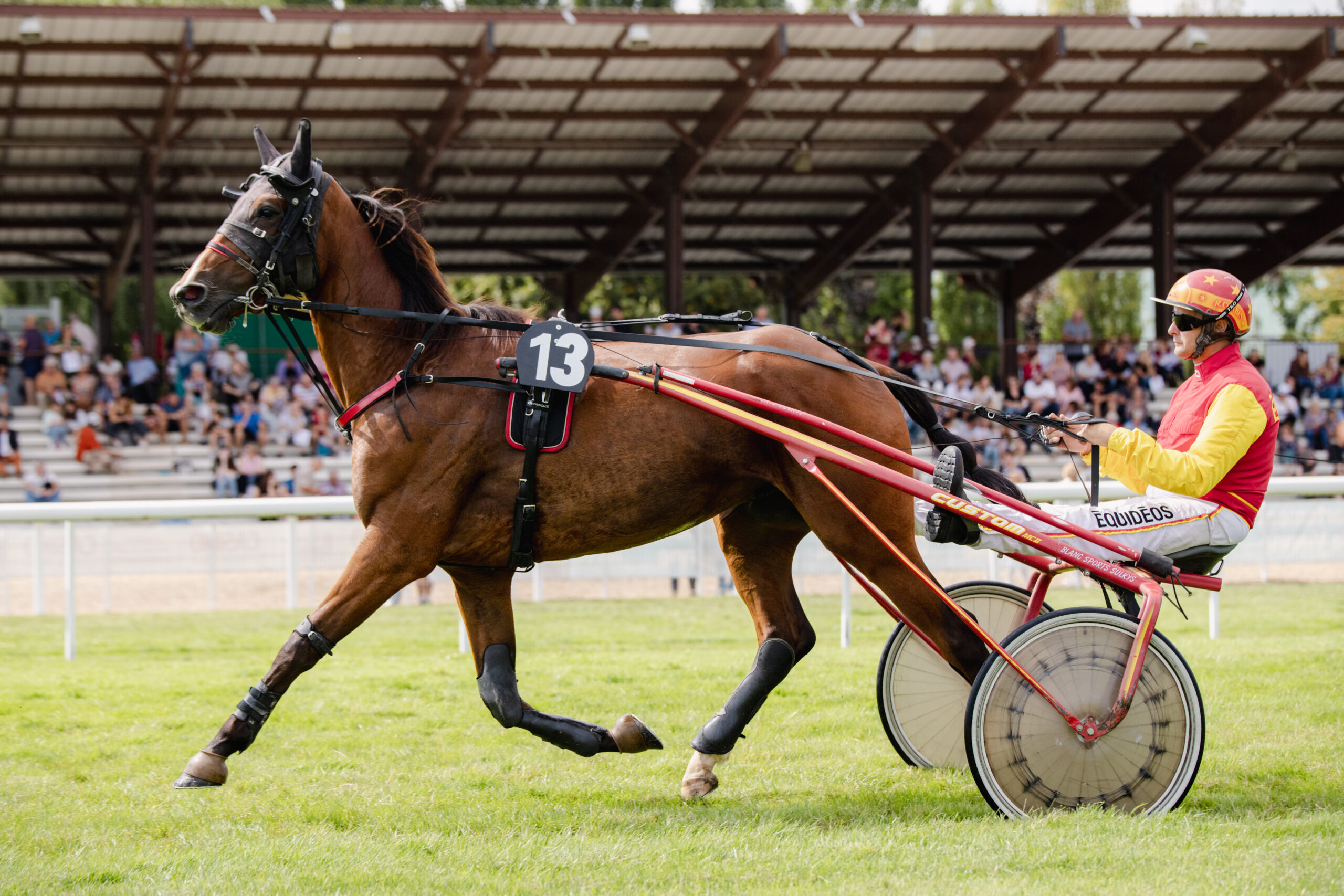 Courses hippiques Trot/Obstacle