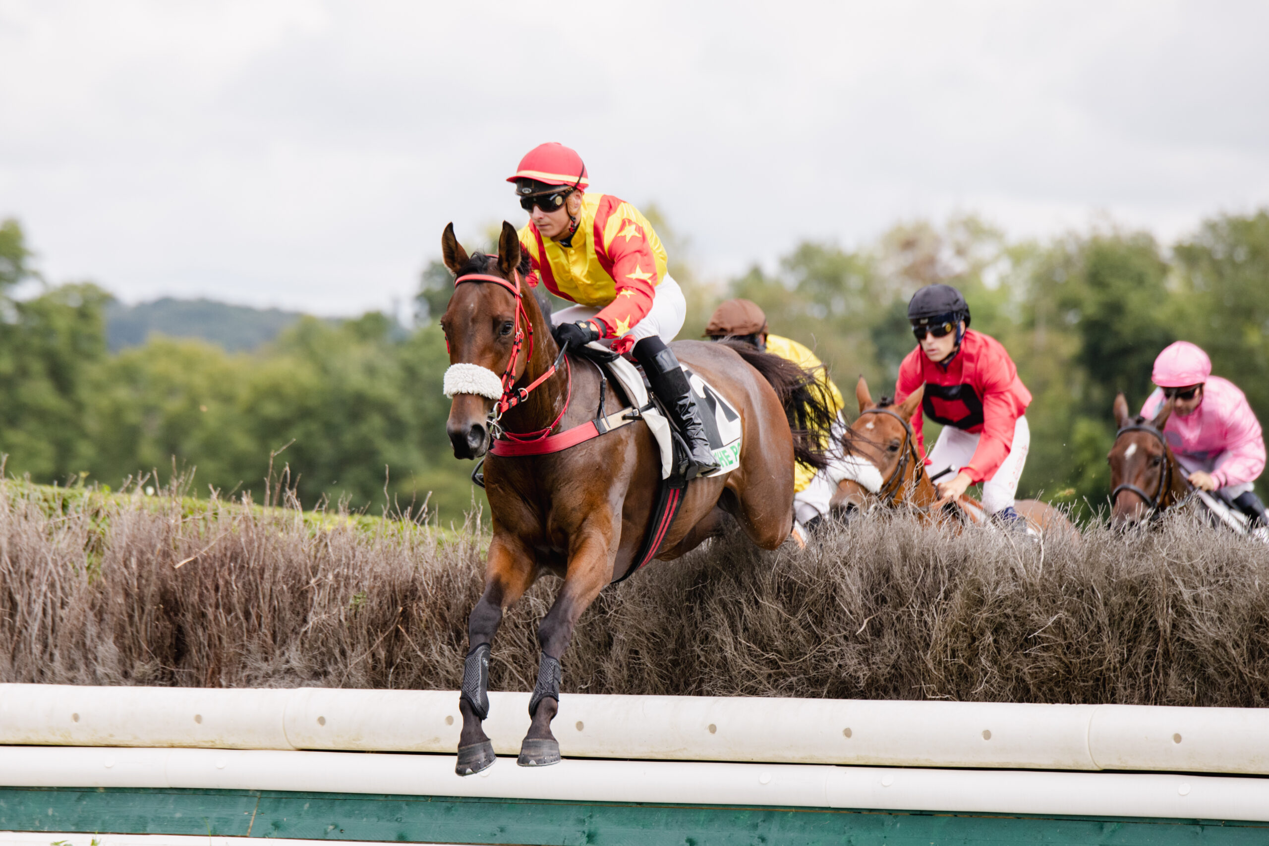 Courses Hippiques Semi-Nocturne Trot/Obstacle