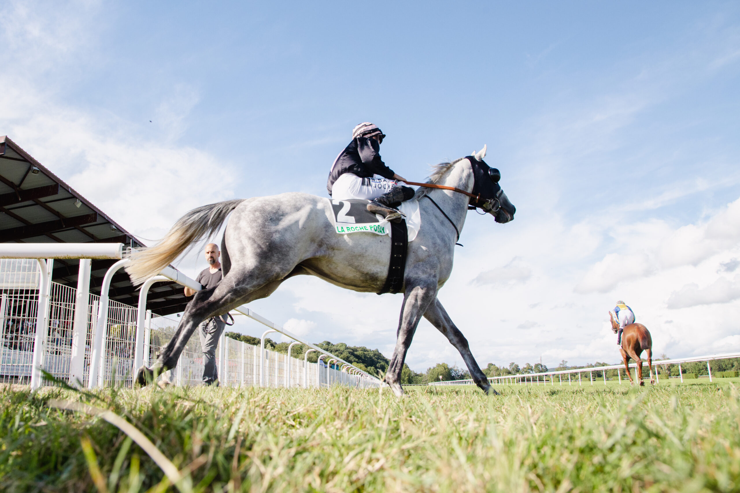 Courses hippiques Plat