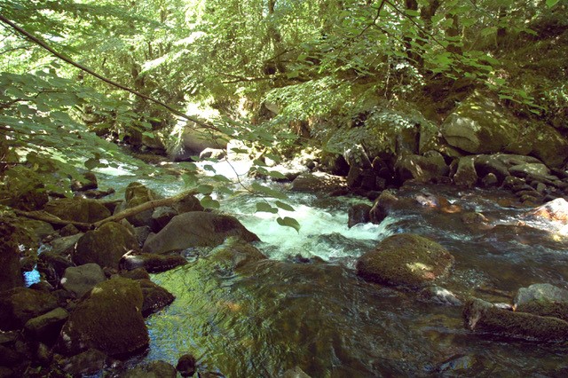 Pays d'Art et d'Histoire Balade découverte Des gorges du Tolerme à Notre-Dame de Verdale