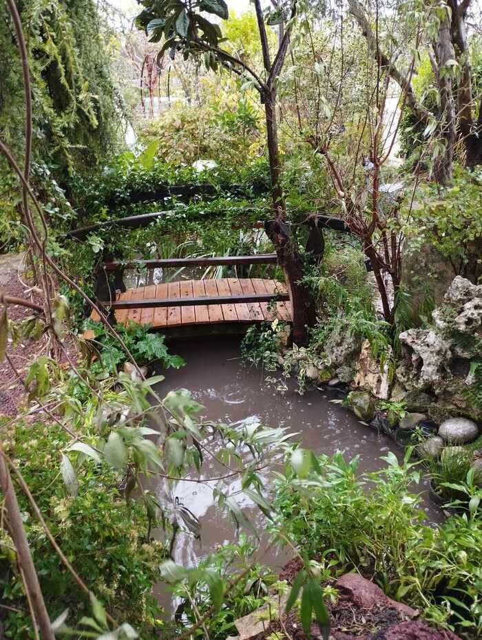 Visite découverte du jardin botanique à l'anglaise Le clos fleuri Chabeuil