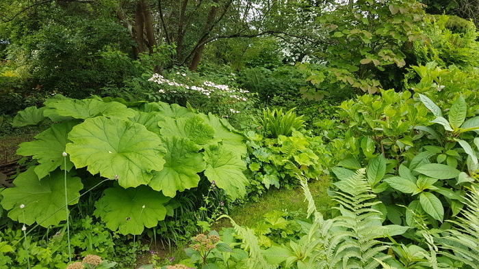 Déambulation libre dans le jardin d'une passionnée Le jardin de Brigitte Bernwiller