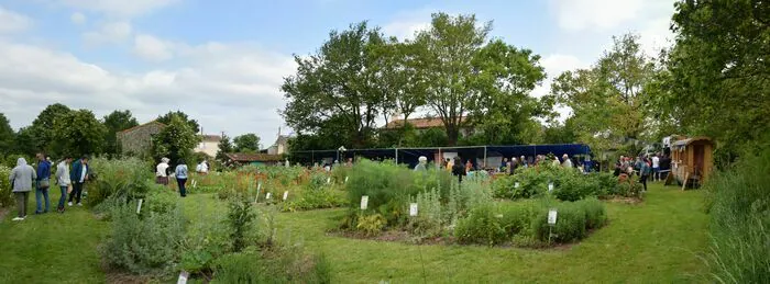 Visite découverte de jardin de plantes médicinales et marché de produits locaux le jardin de la chevérière La Boissière-de-Montaigu