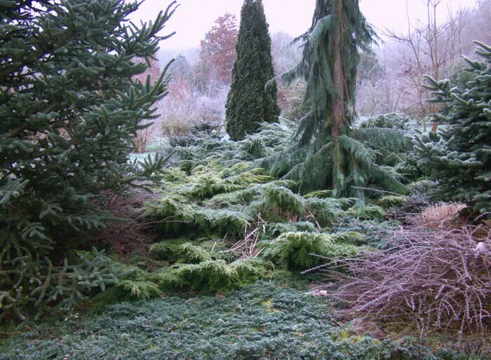 Visite du Jardin de L'Eau Vive Le jardin de L'Eau Vive La Ville-sous-Orbais