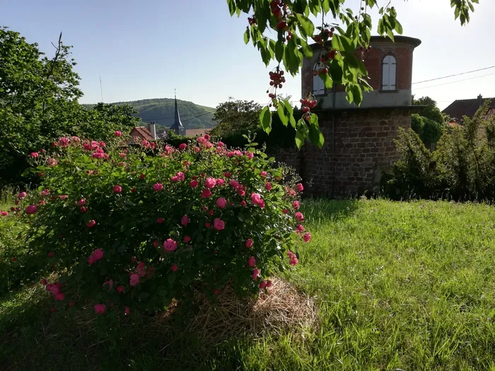 Jardins et pierres à Wangen Le jardin de Marguerite Wangen