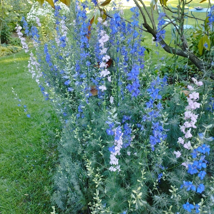 Visite du jardin des quatre saisons Le jardin de Martine et René Ohnenheim