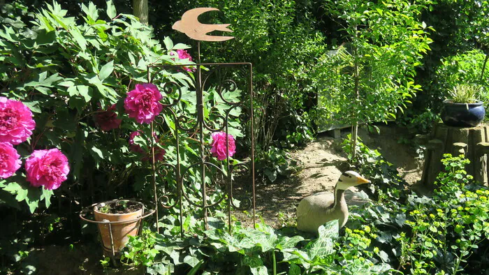 Découverte d'un jardin enchanté Le jardin enchanté Haguenau