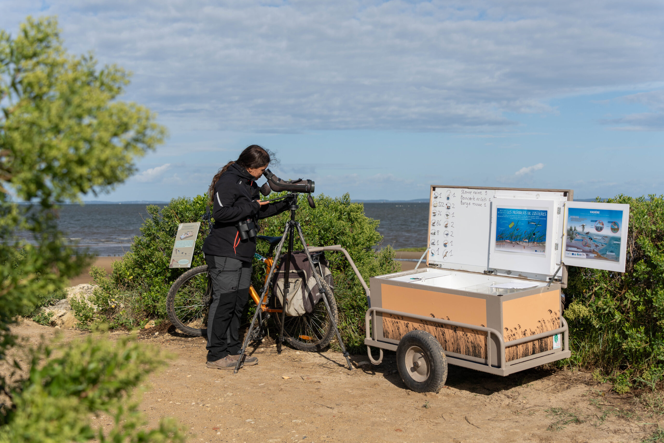 Accueil naturaliste sur le sentier du littoral à la Pointe du Teich