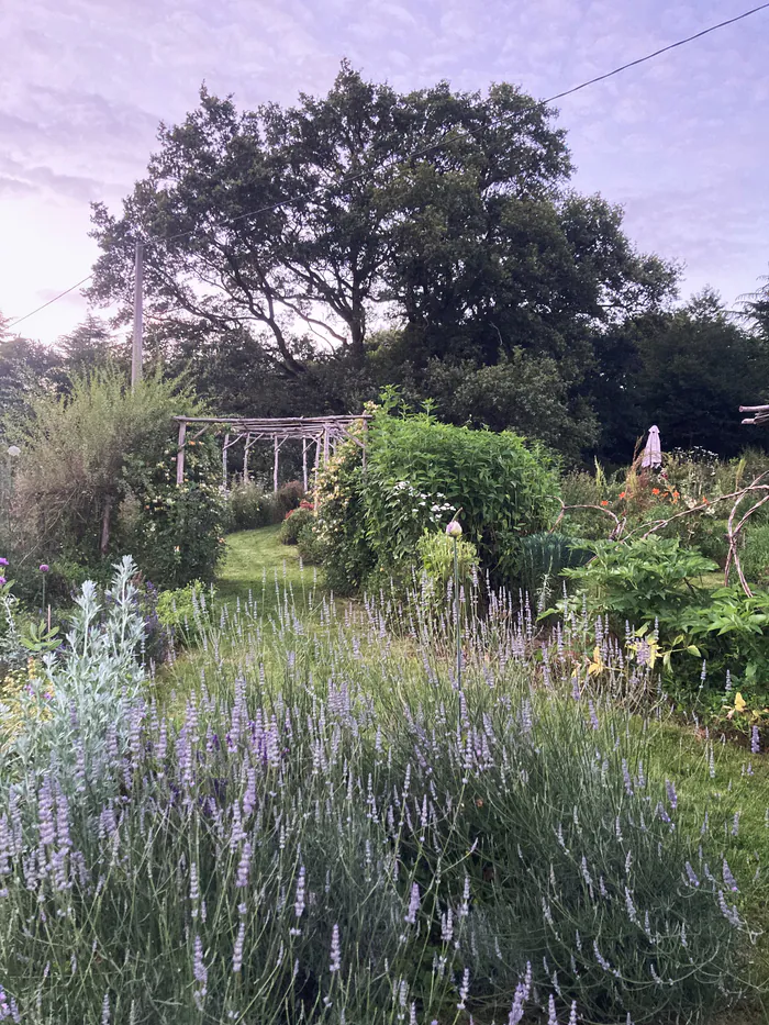 Visite et salon de thé aux Jardins des Arcands