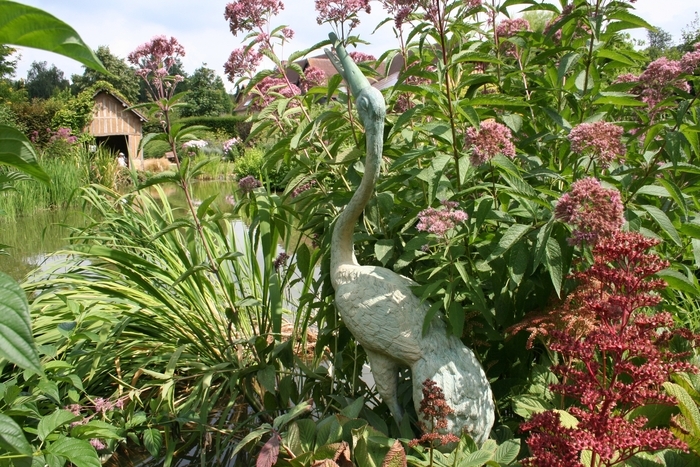 Visite libre des jardins Les Jardins du Pays d'Auge Cambremer