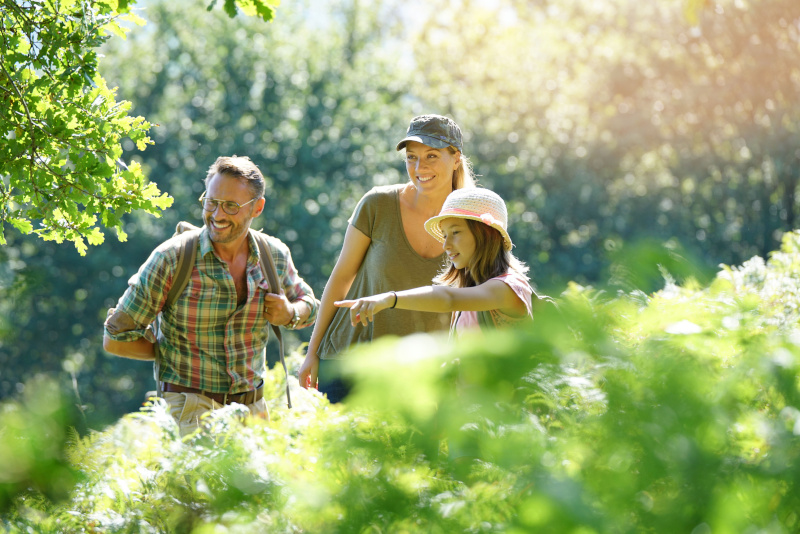 Défis pour naturalistes en herbe