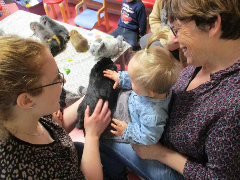 EXPOSITION SUR LE MÉTIER D’ASSISTANTE MATERNELLE