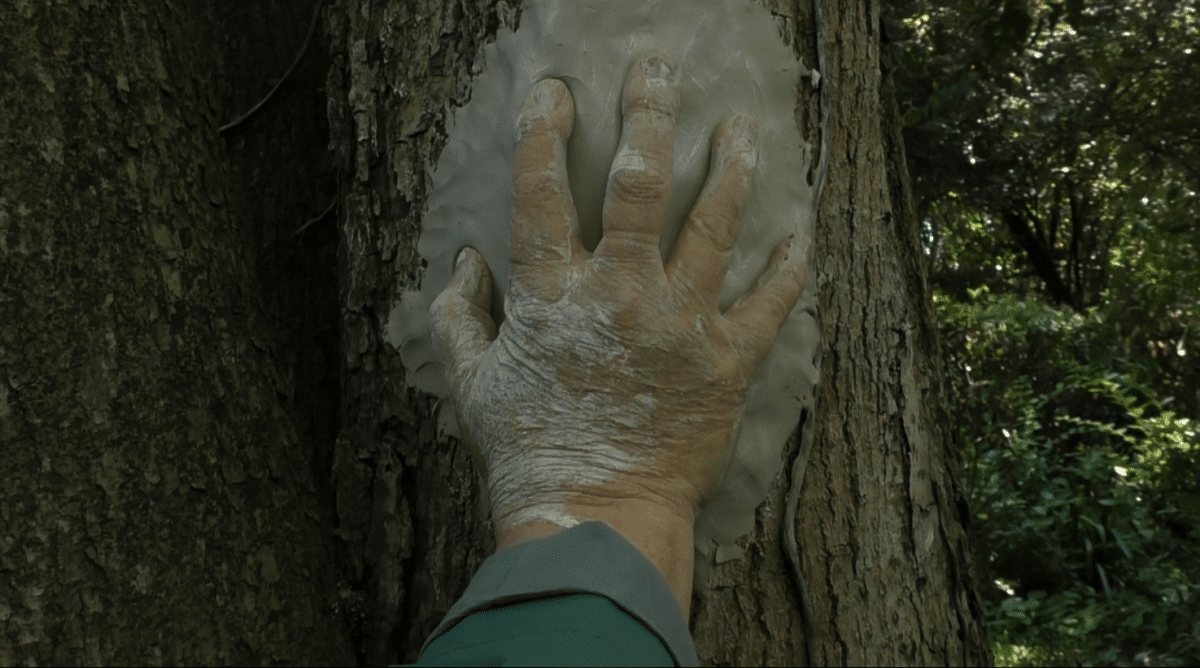 Ma perception Benoit Maestre