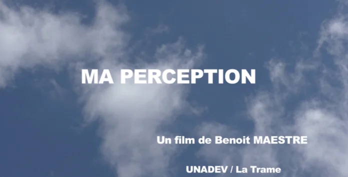 Ma perception Benoit Maestre