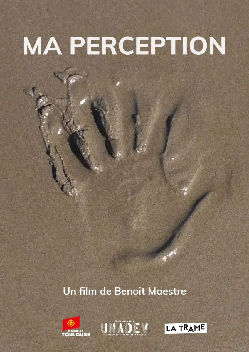 Ma perception Benoit Maestre