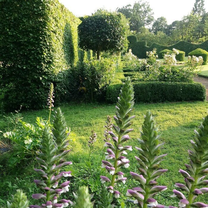 A la découverte de l'art des jardins au manoir de Favry. Passion Partage Manoir et jardin de Favry Préaux