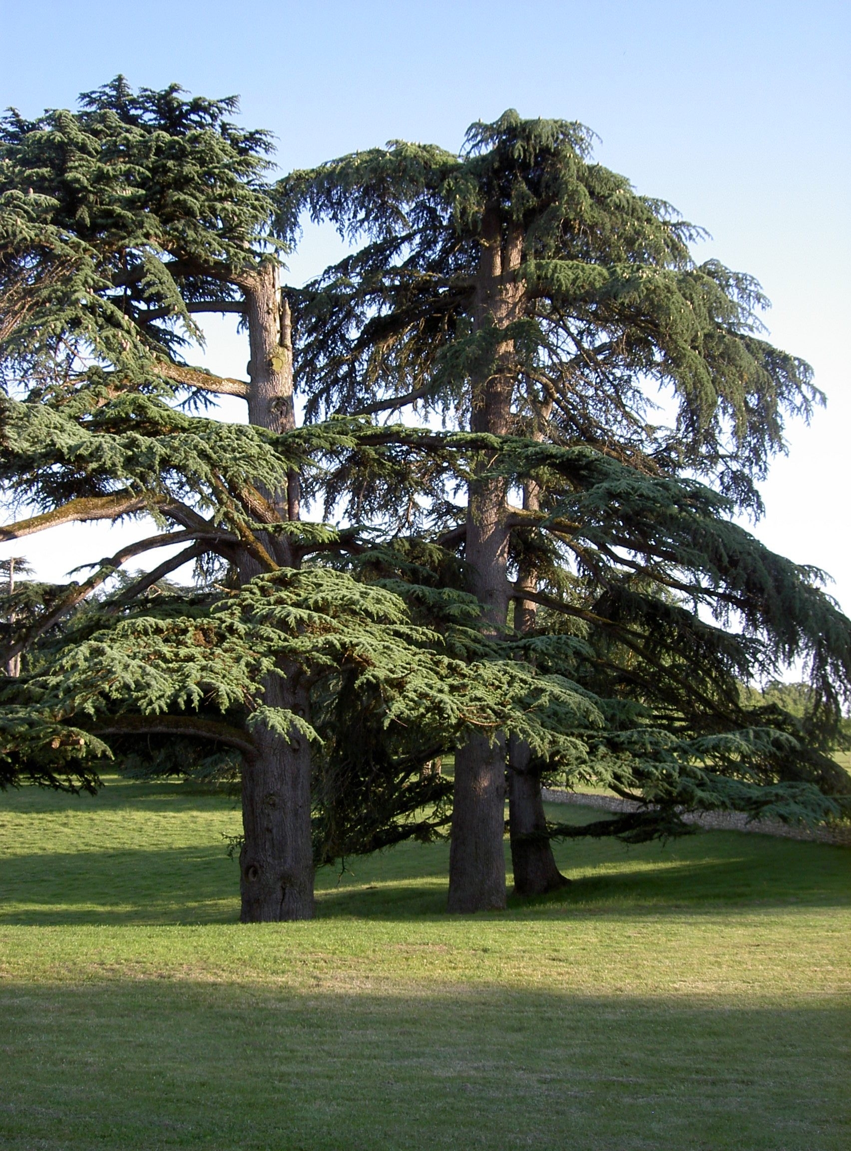 Rendez-vous aux jardins Château Pierrail