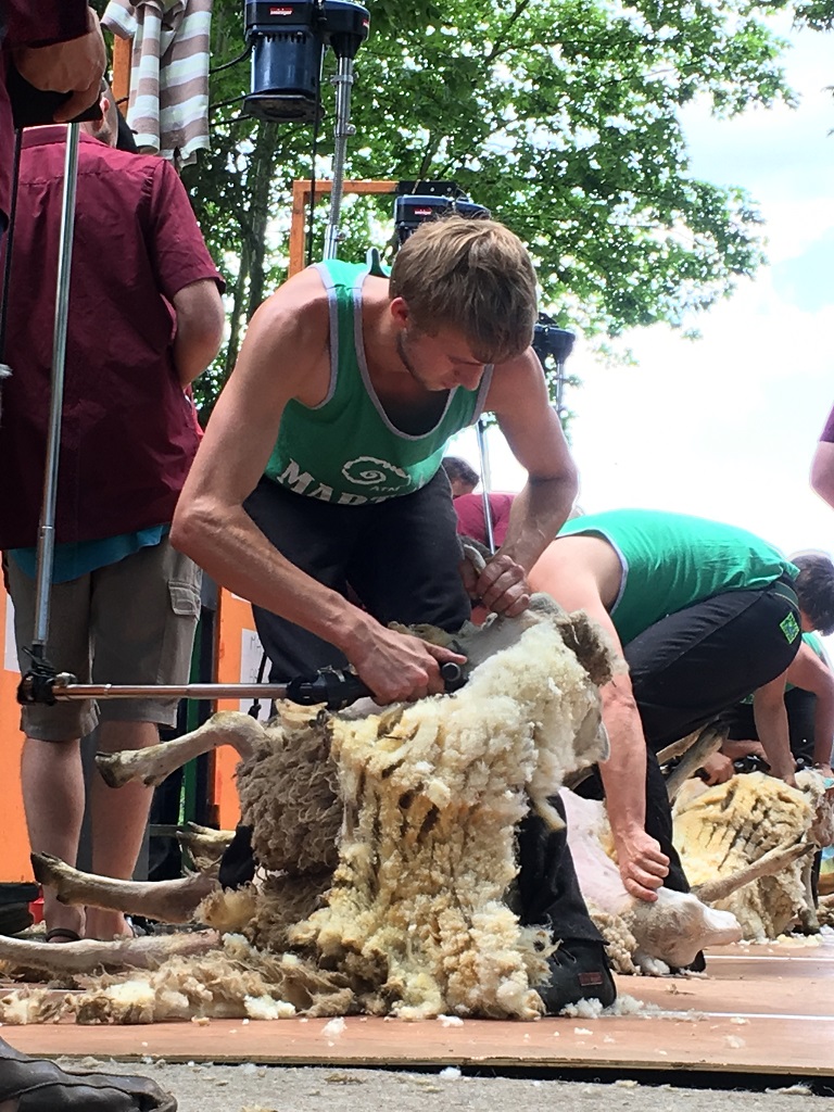 Fête des tondailles