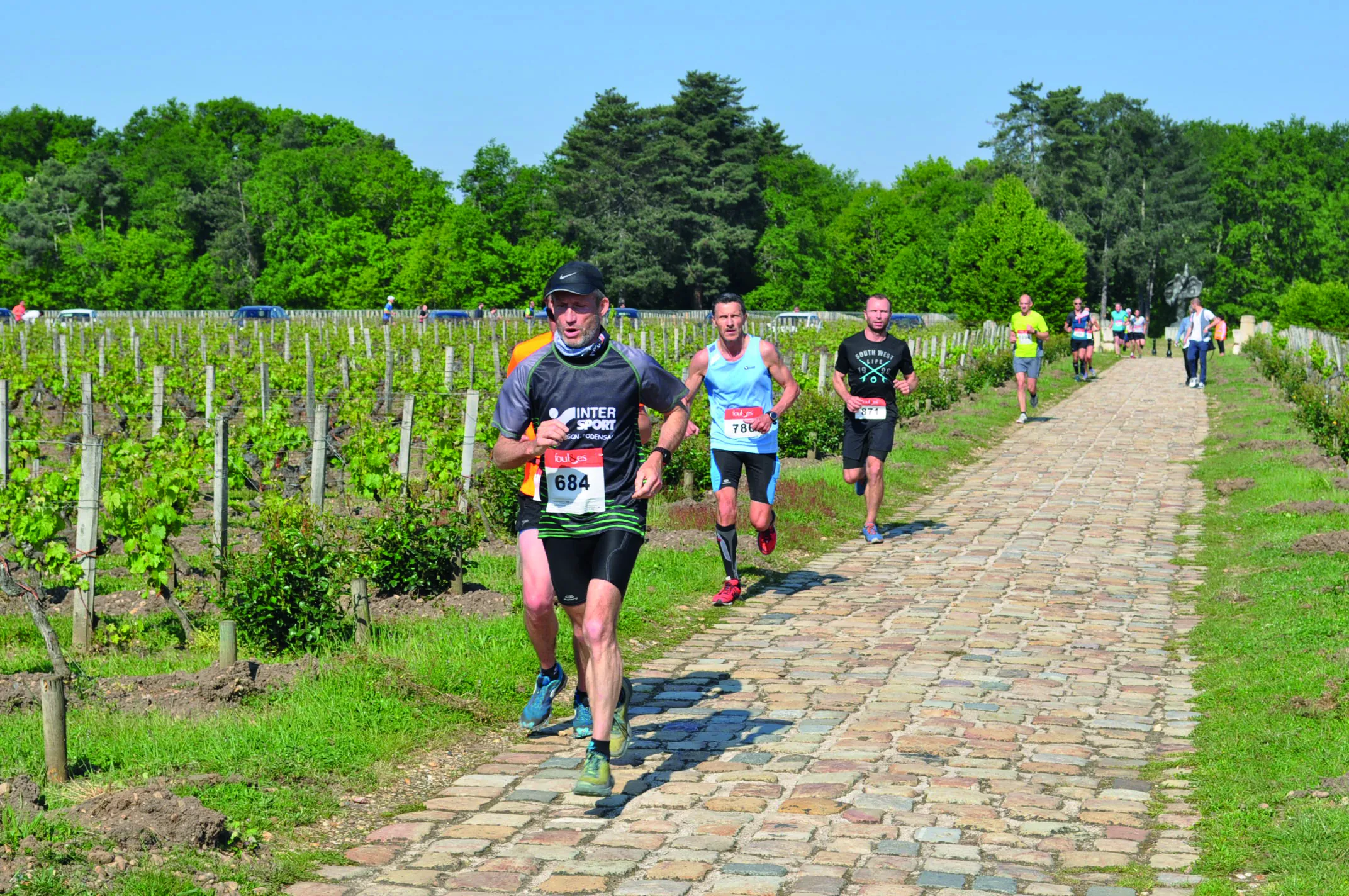 Les foulées du Vignobles Martillacais