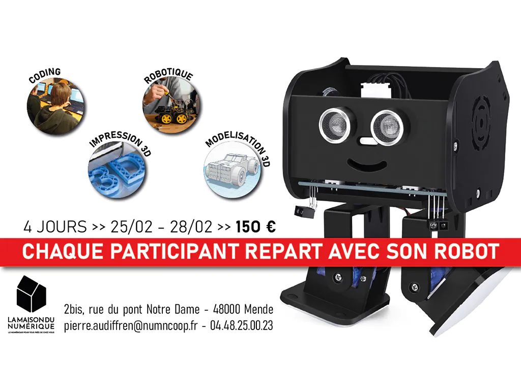 CRÉEZ VOTRE PENGUIN BOT EN 4 JOURS !