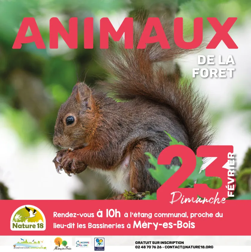 Animaux de la forêt