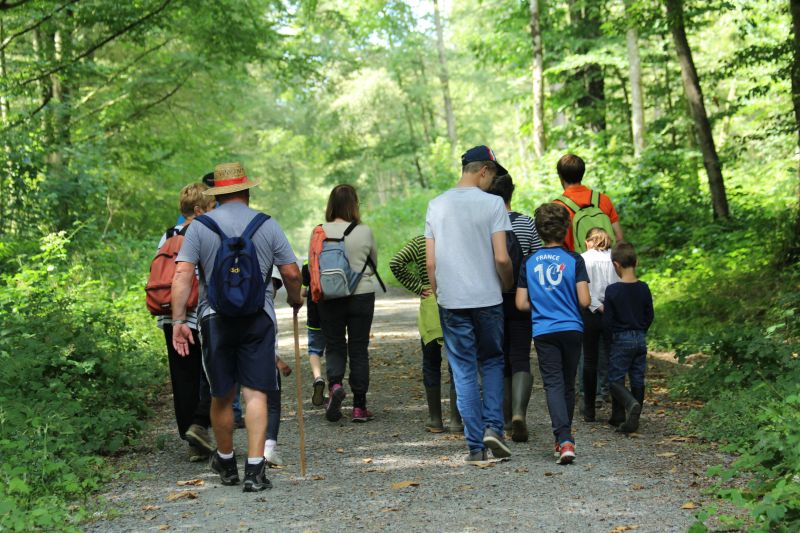 Sortie nature "les habitants de nos arbres"