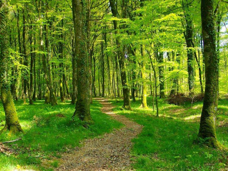 Rendez-vous créatif "Une nature haute en couleur !"