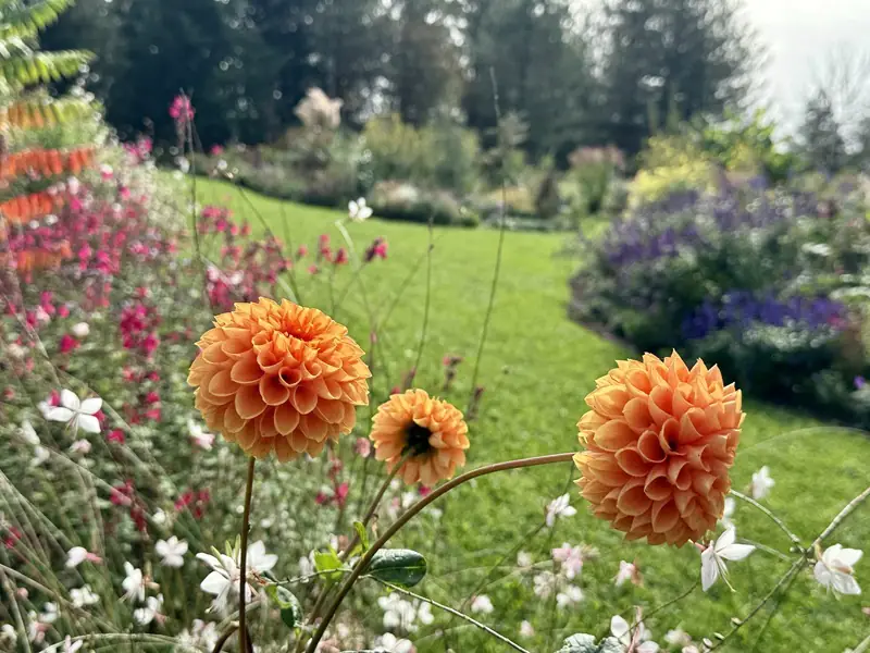 Atelier jardinage Création de magnifiques potées estivales