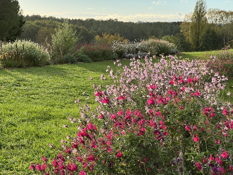 Atelier jardinage Cultivez son jardin avec la nature