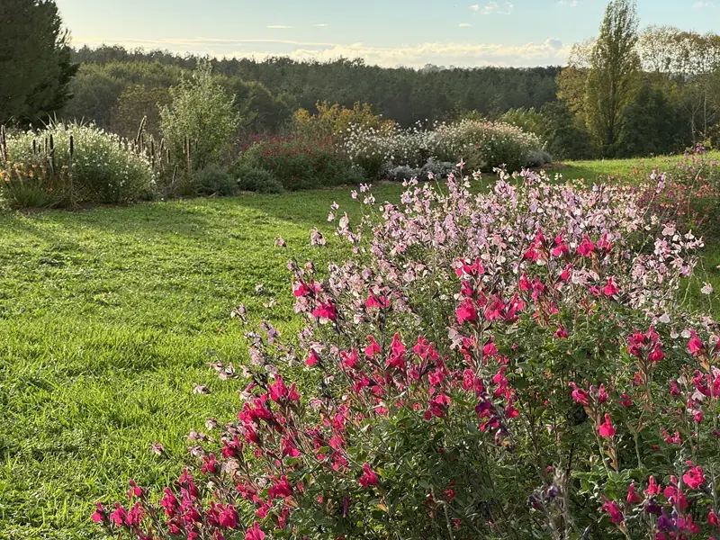 Atelier jardinage Cultivez son jardin avec la nature