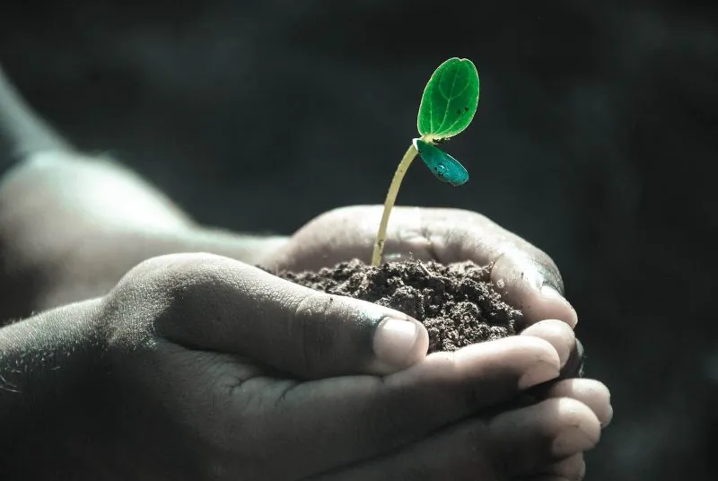 Printemps de la biodiversité Incroyables plantes !