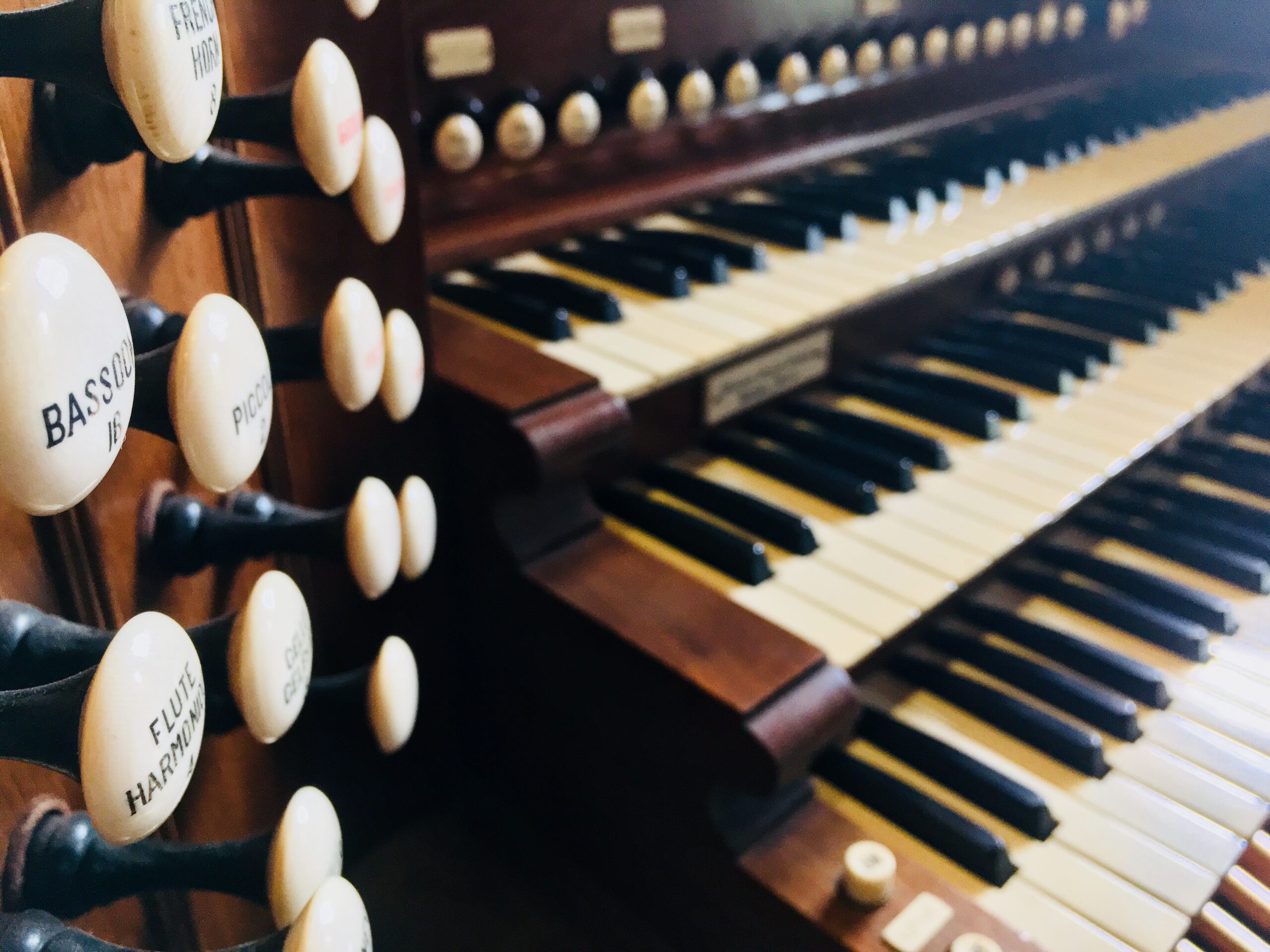 Visite thématique  L'orgue Skinner