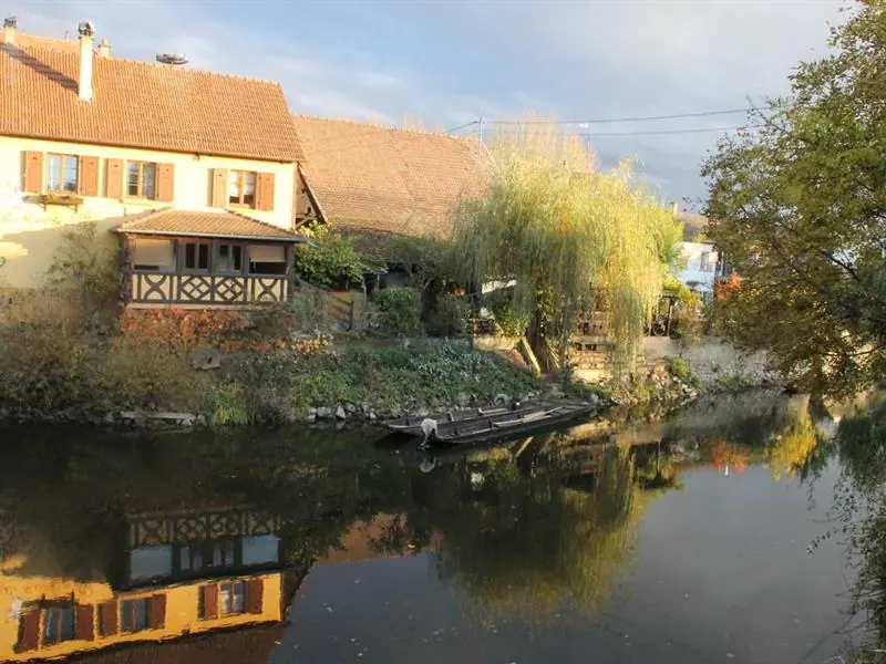 Sortie au détour de la rivière