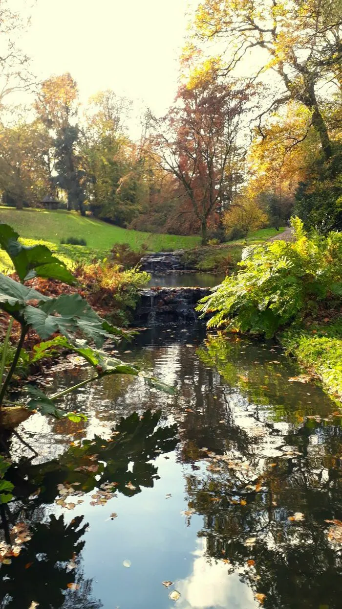 Les prémices du printemps à la Gaudinière Parc de la Gaudinière