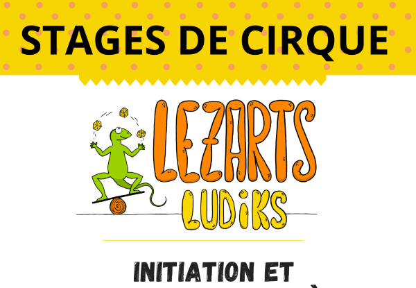 Stage des arts du cirque avec Lezarts Ludiks