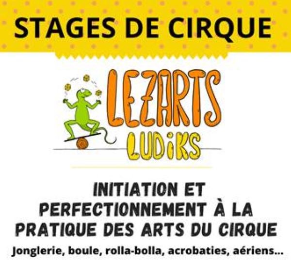 Atelier de cirque avec Lezarts Ludiks