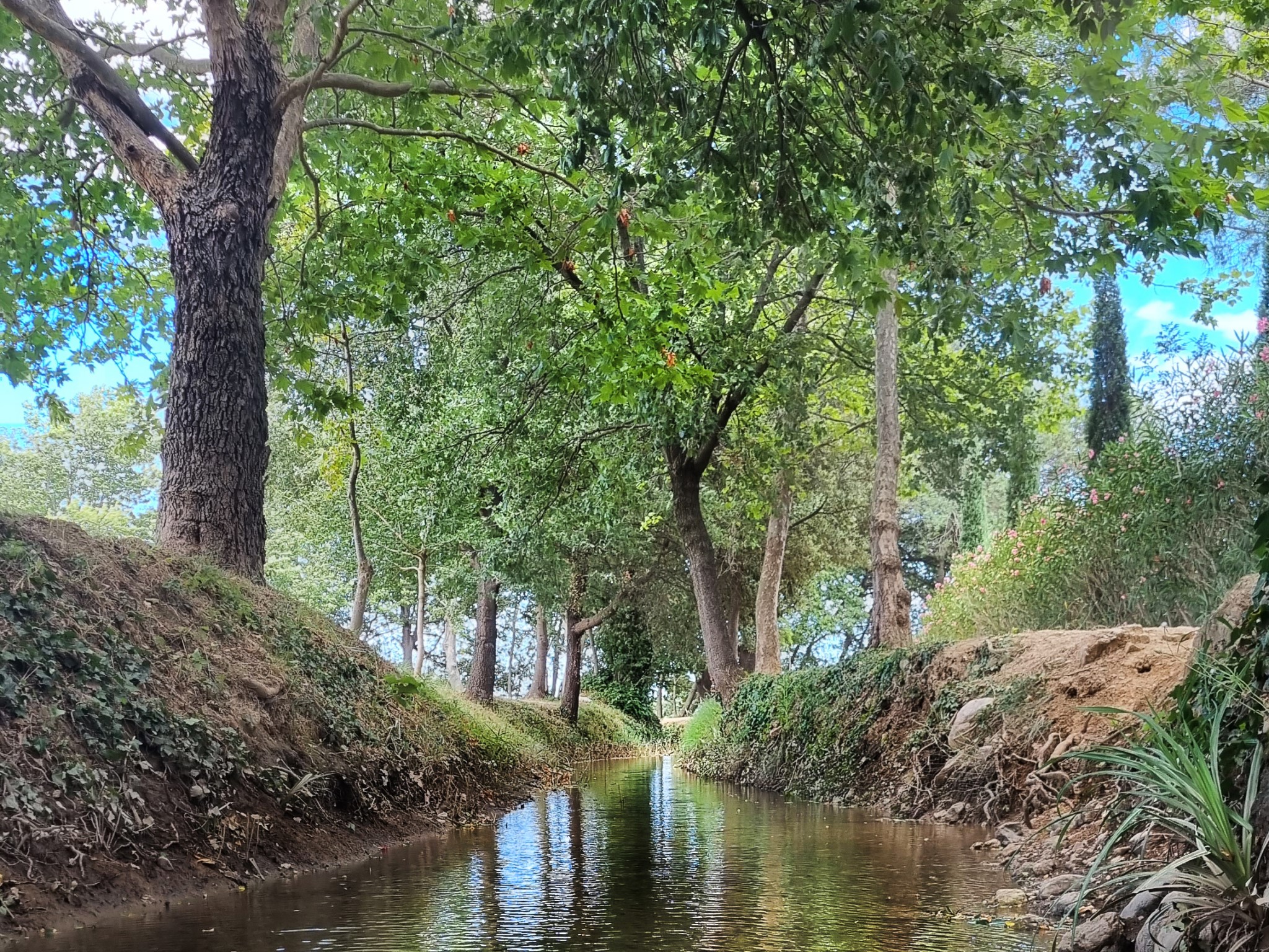 JOURNÉE MONDIALE DE L’EAU  VISITE "LAS CANALS